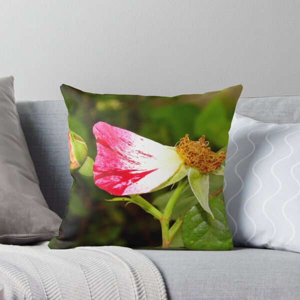 Item preview, A Rose Was designed and sold by WildestArt.