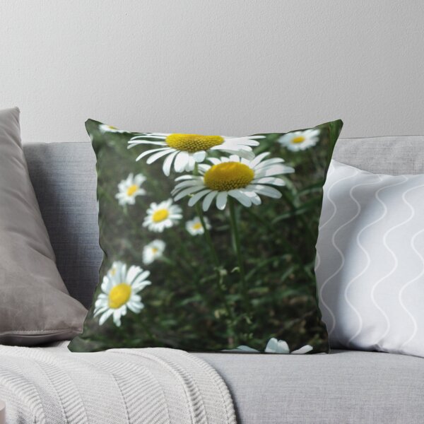 Item preview, The Daisies designed and sold by PicsbyJody.