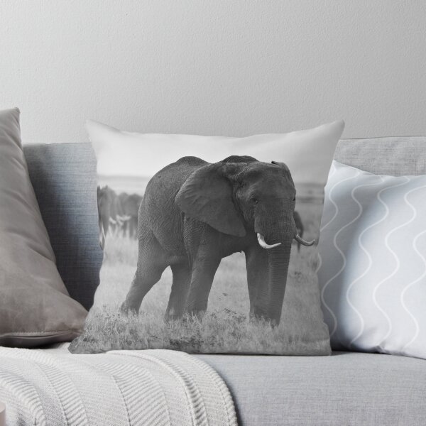 Item preview, African Elephants (Loxodonta africana) designed and sold by Samuel Ridge.