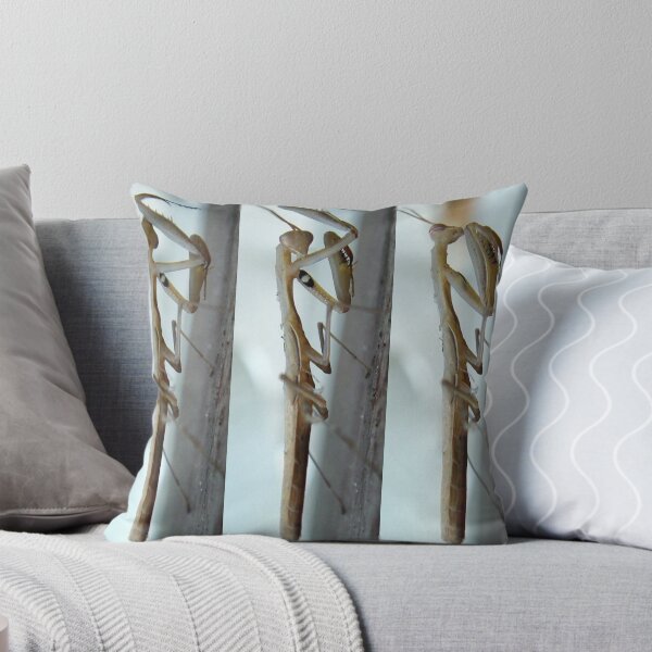 Item preview, White Praying Mantis designed and sold by Augustina Trejo.