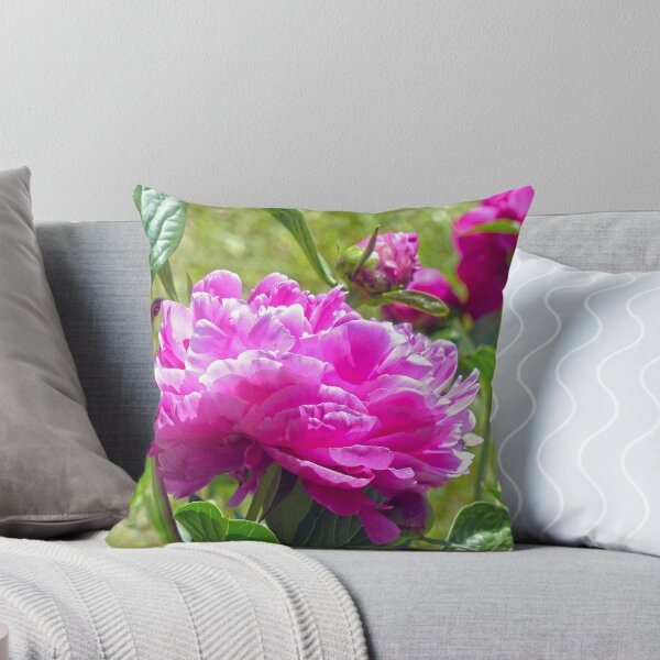 Artikelvorschau, Pink Peony entworfen und verkauft von Frankie Cat Photography.