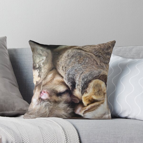 Item preview, Nap time designed and sold by David Wachenfeld.
