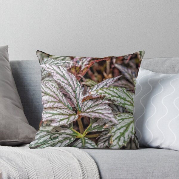 Item preview, Leaves of many colours designed and sold by PhotosByHealy.