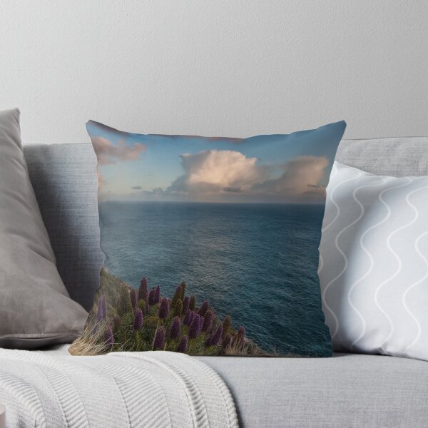 Item preview, A Rainbow at Big Sur  designed and sold by Richard Thelen.