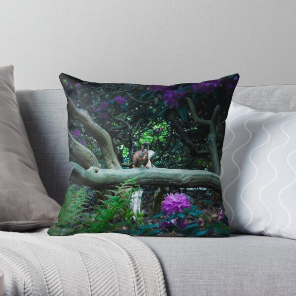 squirrel 005 Throw Pillow