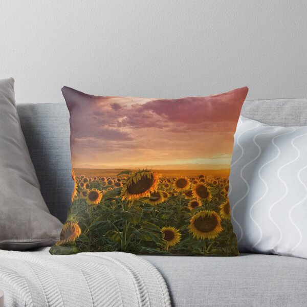 Item preview, Colors Of A Late Evening II designed and sold by John  De Bord Photography.