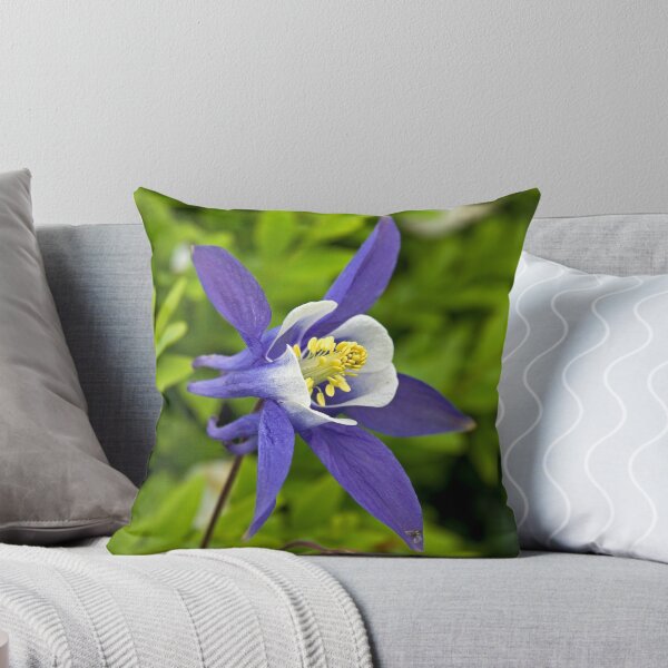 Artikelvorschau, Aquilegia or Columbine flower. entworfen und verkauft von David A. L. Davies.
