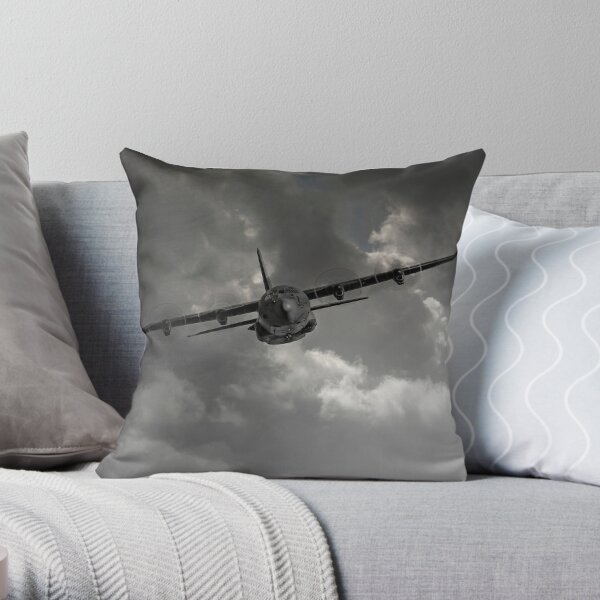 C-130 Hercules Canvas Print for Sale by Karl R. Martin