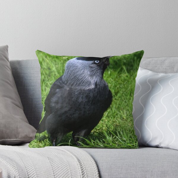 Artikelvorschau, Jackdaw In The Garden entworfen und verkauft von lynn carter.