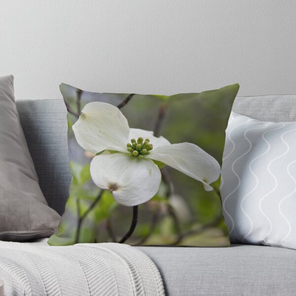 Artikelvorschau, Dogwood flower in May entworfen und verkauft von KSKphotography.