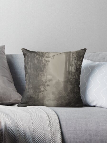 Item preview, Follow The Light  - Laurel Hill NSW (Monochrome) - The HDR Experience designed and sold by Salieri1627.