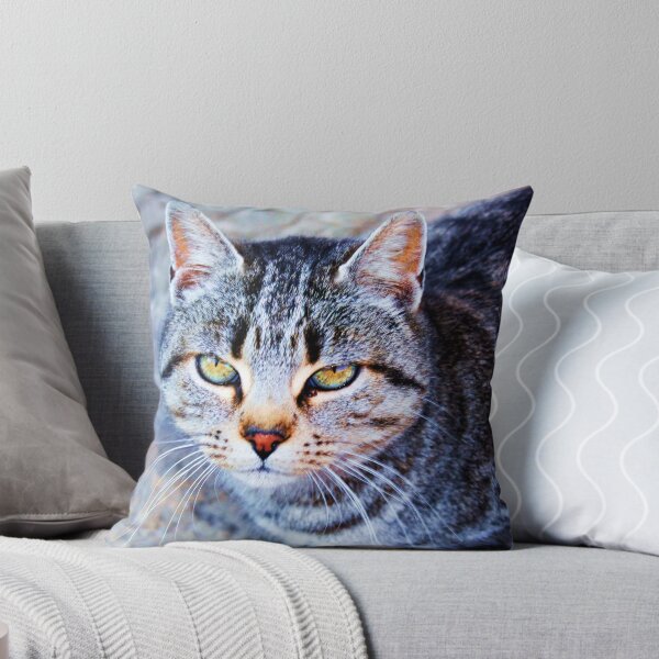 Aperçu de l'œuvre CAT créée et vendue par dedakota.