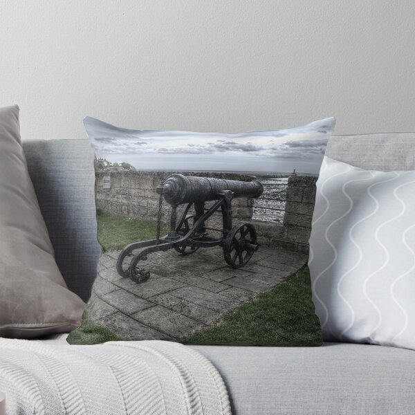 Item preview, Coastal Cannon designed and sold by axp7884.