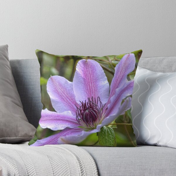 Artikelvorschau, Pretty Striped Clematis entworfen und verkauft von lynn carter.