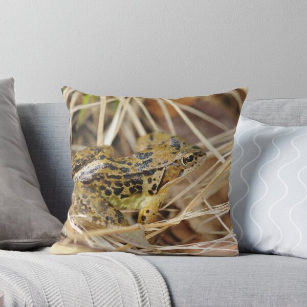 Item preview, Common Frog designed and sold by cuilcreations.