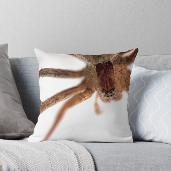 Item preview, Grass Spider designed and sold by Jukeboxpunk.