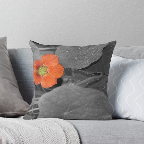 Aperçu de l'œuvre Solo Nasturtium Flower créée et vendue par Mike HobsoN.