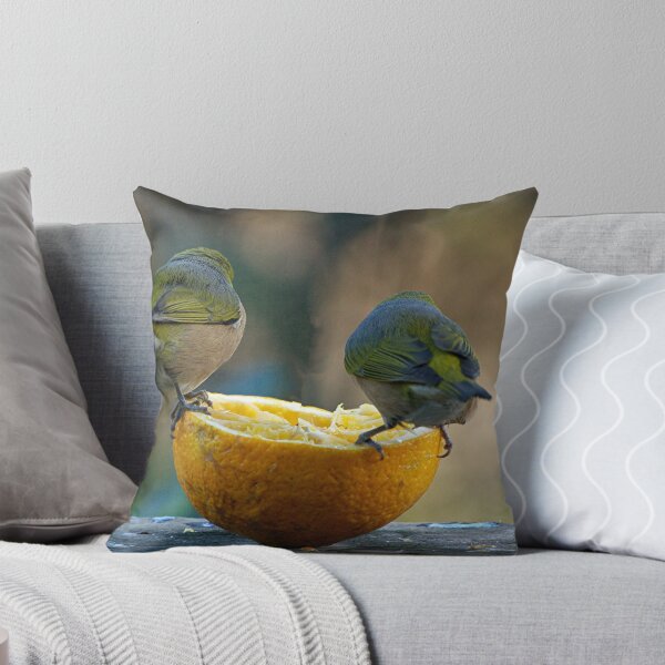 Item preview, Don't rock the boat.........! designed and sold by Roy  Massicks.
