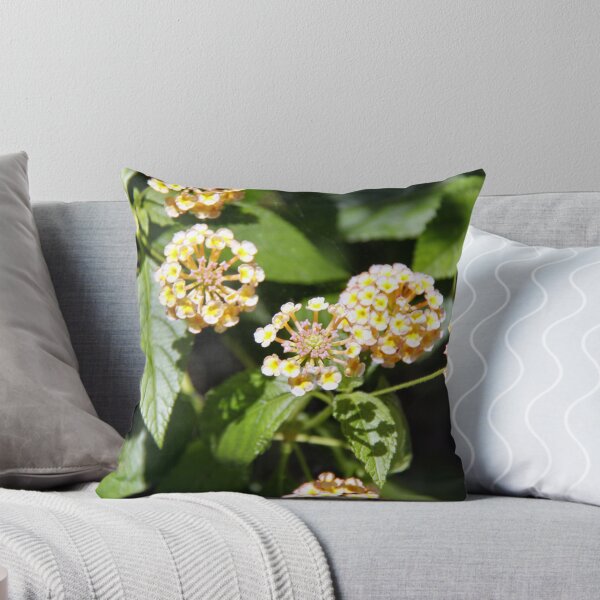 Item preview, Lantana designed and sold by Jay Reed.