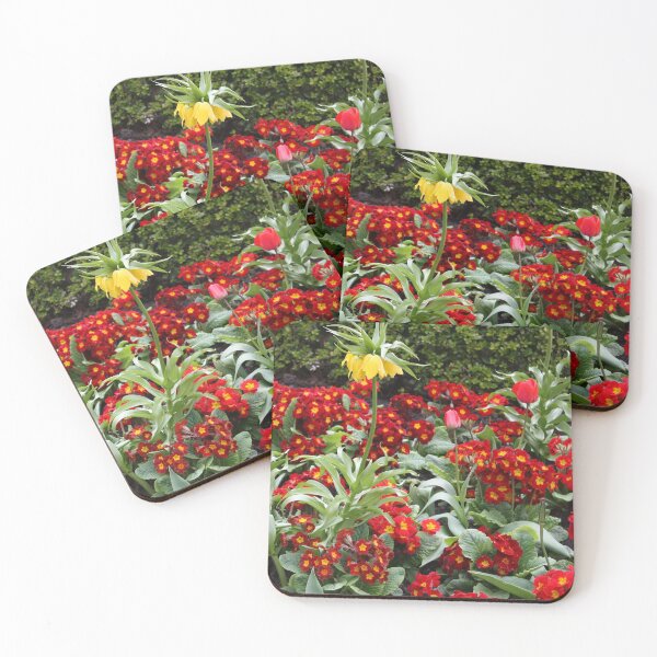 Item preview, Mostly Primulas designed and sold by tomg.