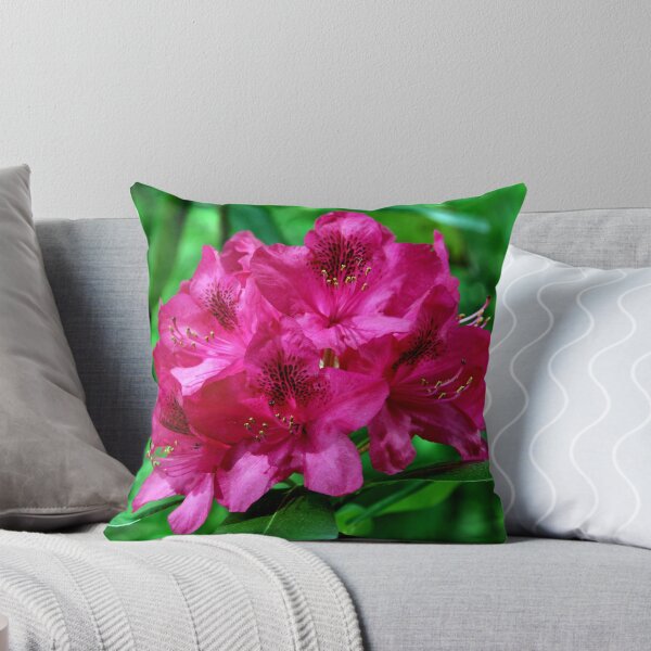 Item preview, things are looking up.. designed and sold by FotoBloke.
