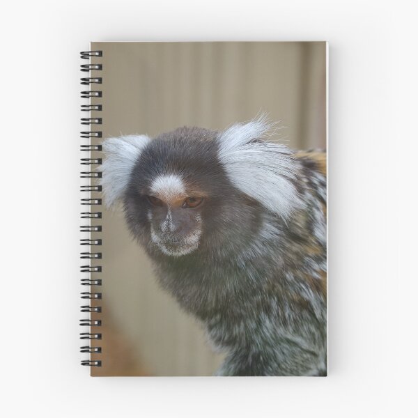 Item preview, Pygmy Marmoset designed and sold by Derwent-01.