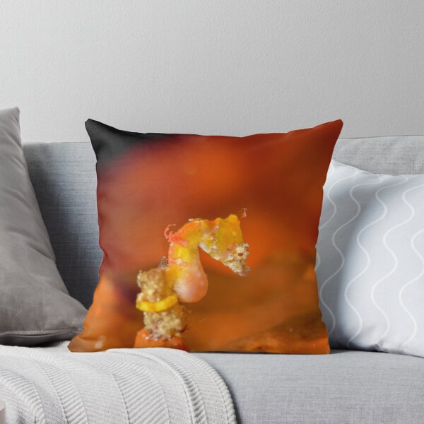 Item preview, Pontoh's Pygmy Seahorse - Hippocampus pontohi designed and sold by Andrew Trevor-Jones.