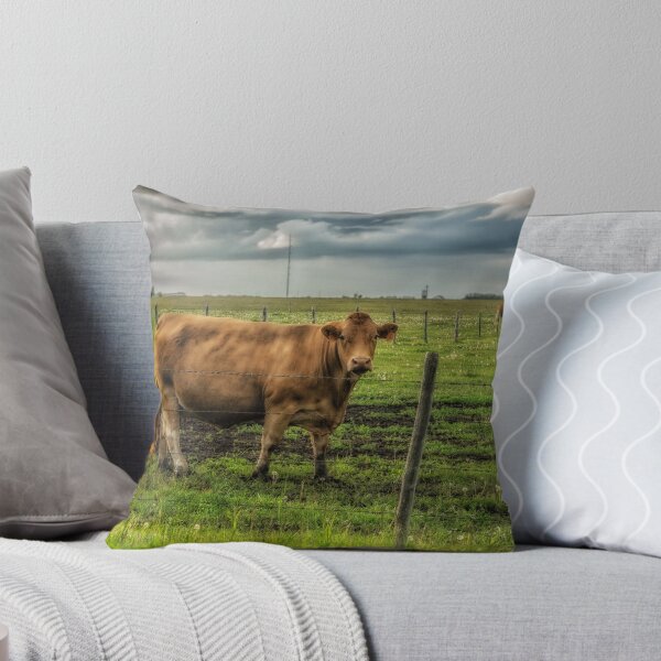Item preview, Alberta Beef designed and sold by Keri Harrish.