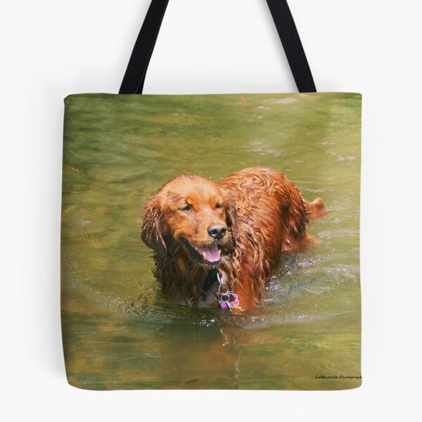 Item preview, Penelope Pausing '13 designed and sold by goldnzrule.