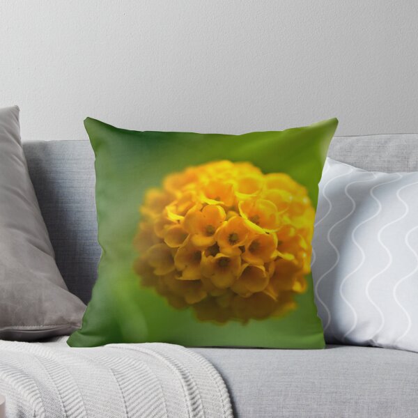 Aperçu de l'œuvre Early Buddleia blooms créée et vendue par ruthjulia.