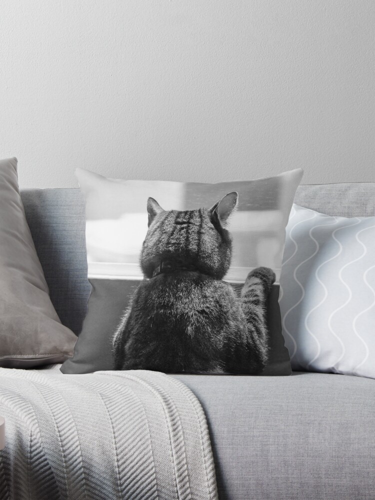 Thumbnail 1 of 4, Pillow, Schro at window 1 designed and sold by littleoldhag.