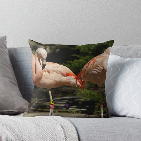 Item preview, Flamingos Hanging Around designed and sold by Tina Hailey.