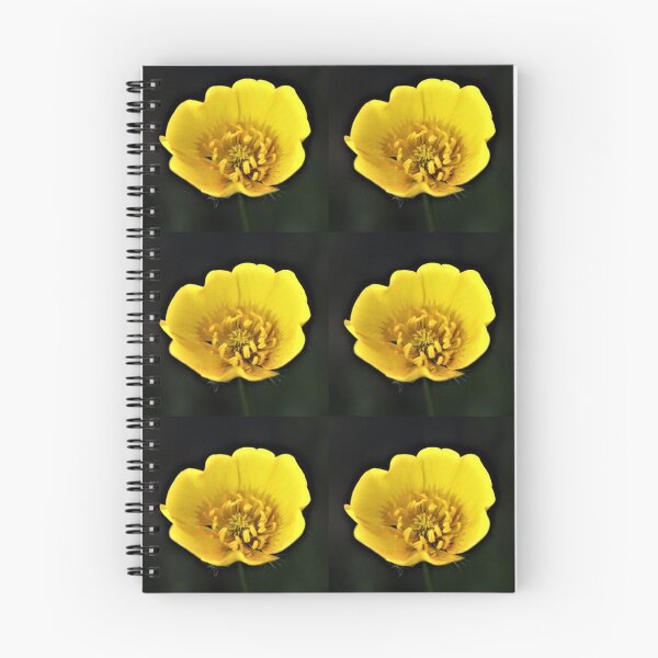 Item preview, Buttercup designed and sold by Angela Watts.