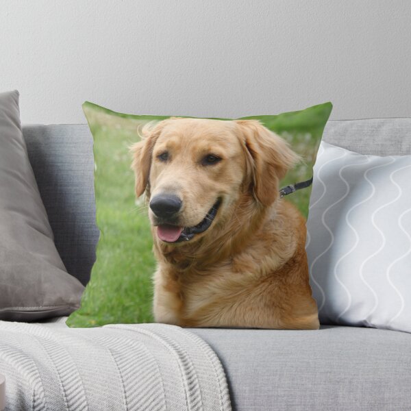 Jordy Throw Pillow