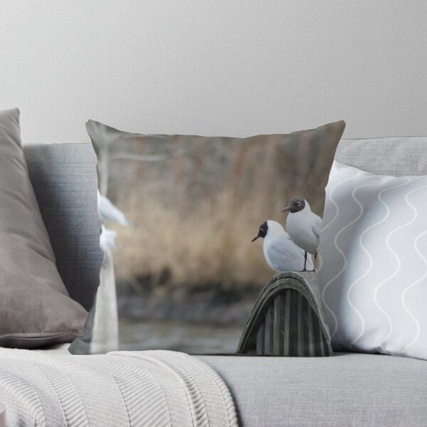 Item preview, Seagulls designed and sold by UpNorthPhoto.