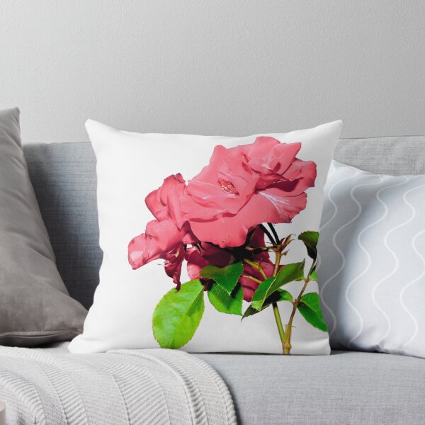 Aperçu de l'œuvre roses avec fond blanc créée et vendue par dedakota.
