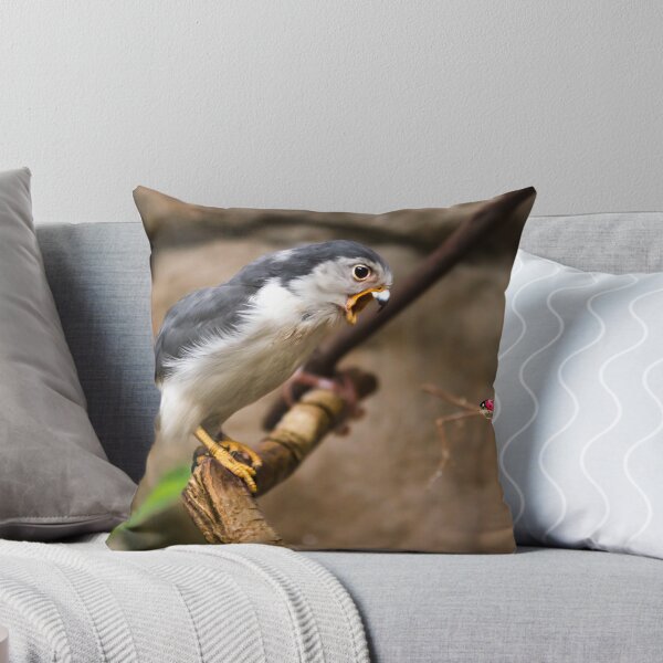 Item preview, Don't yell at me... designed and sold by Kerim Hadzi.