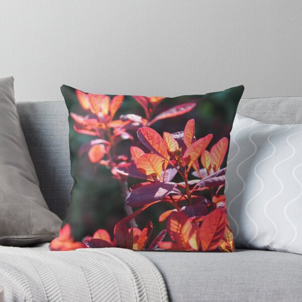 Item preview, The gentle warmth of the evening sun.  designed and sold by Poverty.