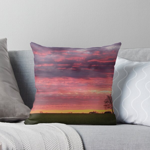 Aperçu de l'œuvre Blood red sunset créée et vendue par Mark Bunning.