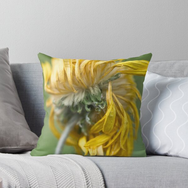 Item preview, Dried chrysanthemum flower in the sunshine designed and sold by ruthjulia.