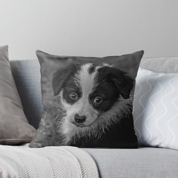 Item preview, Lady BW designed and sold by Danielle  Miner.