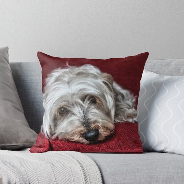Aperçu de l'œuvre Pepper the Silky Terrier créée et vendue par Susanne Correa.