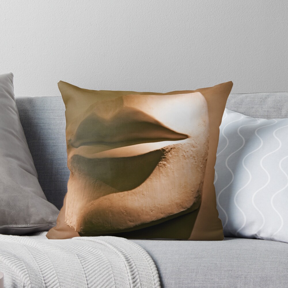 Item preview, Throw Pillow designed and sold by pdecocco.
