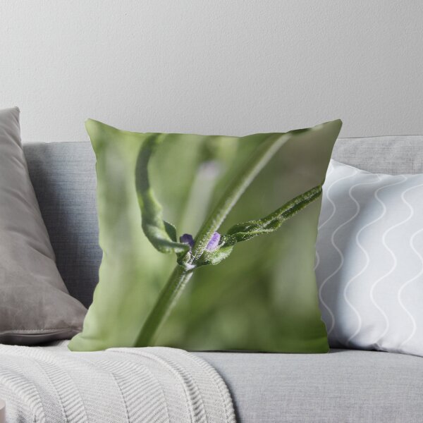 Item preview, Published Lavender designed and sold by decorartuk.