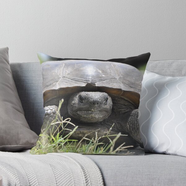 Item preview, Turtle designed and sold by Thomas Tatchell.