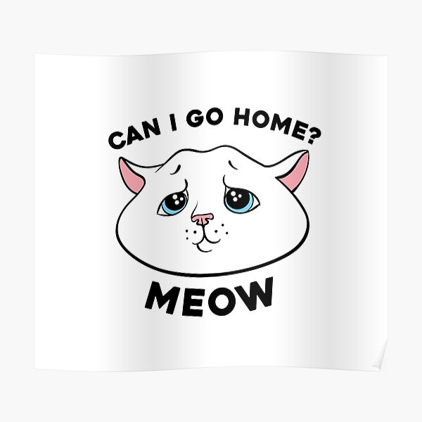 can-i-go-home-cute-kitty-poster-for-sale-by-stoicart-redbubble