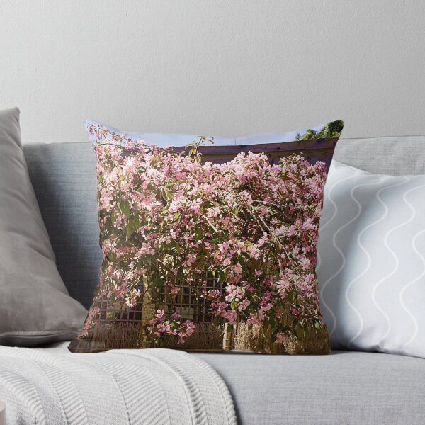 Item preview, The Gift Of Maturing Gracefully designed and sold by Bruce Jones.