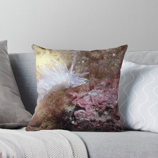 Item preview, Alabaster Nudibranch with Coralline Algae designed and sold by naturediver.