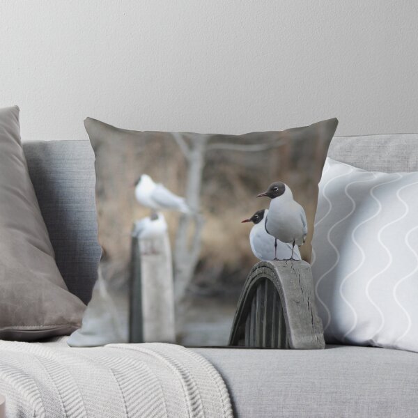 Item preview, Seagulls designed and sold by UpNorthPhoto.