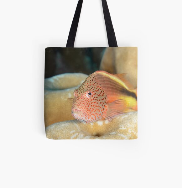 Black-backed Hawkfish - Paracirrhites forsteri All Over Print Tote Bag